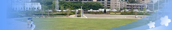 まいぷれ広場
